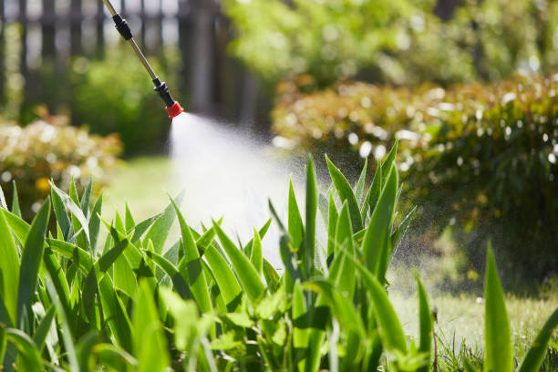 24/7 Emergency Termite Control experts in Valley, NE